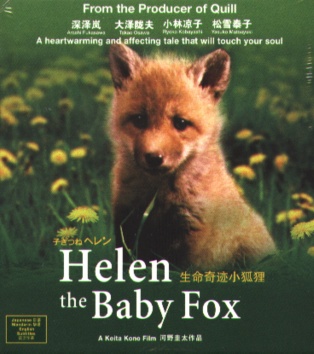 [baby+fox.jpg]