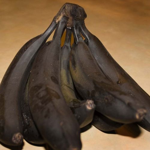 [Black_Bananas.JPG]