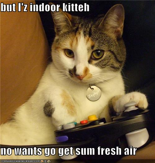 [funny-pictures-why-your-cat-cannot-stop-gaming.jpg]
