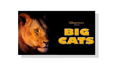 Création du label Disneynature DN+Big+Cats