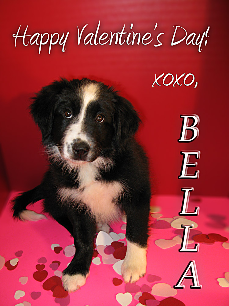 [Bella+Valentine.jpg]