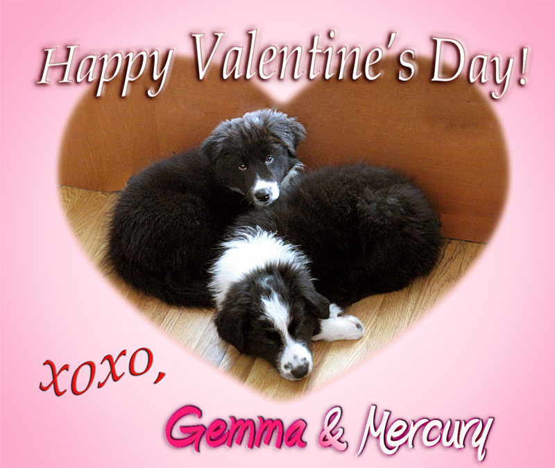 [Gemma+and+Mercury+Valentine.jpg]