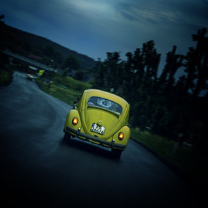 [Beetle_on_road_by_WiciaQ.jpg]