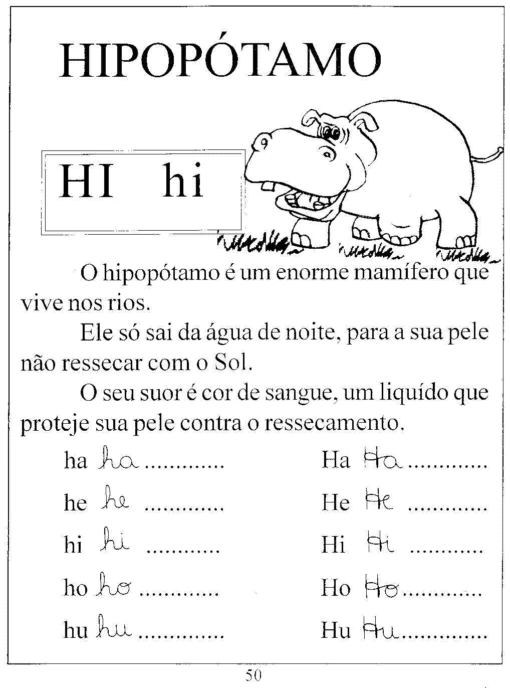 [hipopotamo.gif]
