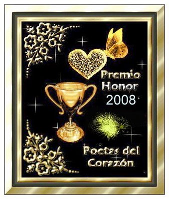 [Premio+Honor+2008.jpg]