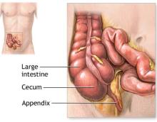 [appendix.jpg]