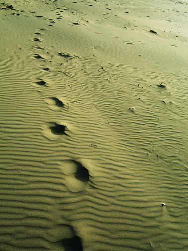 [sand+footsteps.JPG]