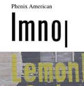 [actual+lemon.jpg]