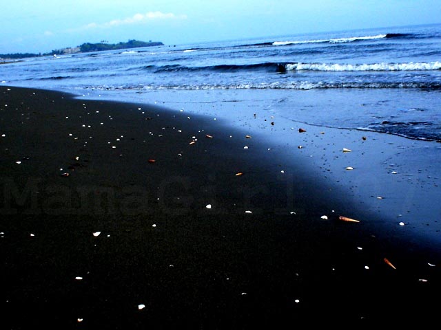 [baybay+beach+shells.jpg]