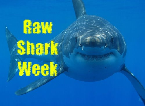 [raw+shark+week.jpg]