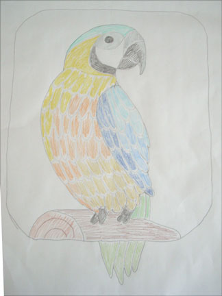 [blue-gold-macaw.jpg]