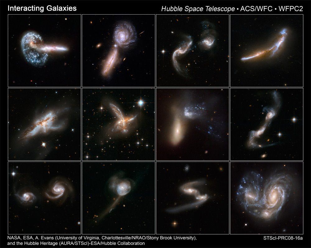 [wildgalaxies.jpg]