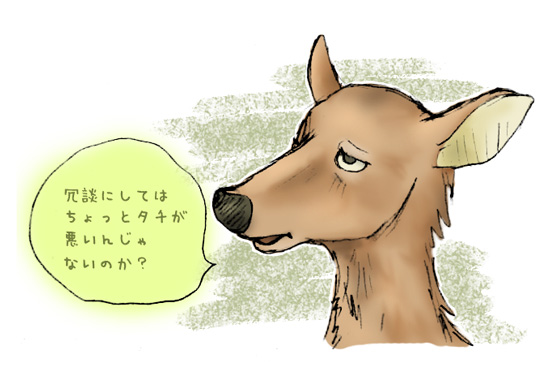 [deer+jodan.jpg]