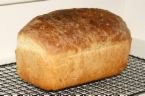 [bread.bmp]
