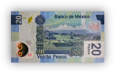 [20+pesos+reverso+-+02.png]