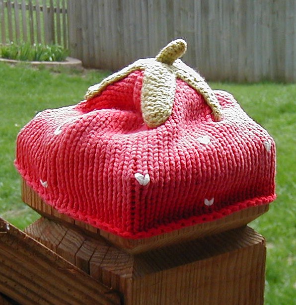 [Strawberry+Shortcake+Hat+002.JPG]