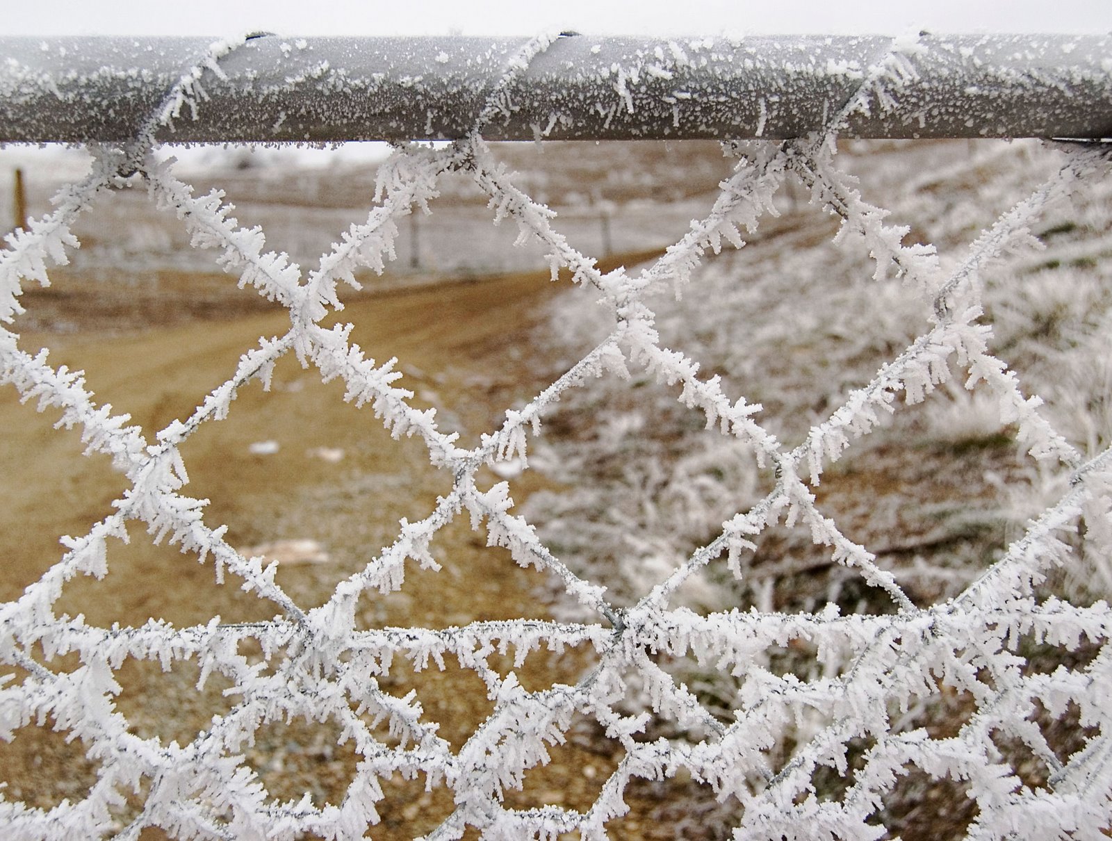 [hoar+frost+gate.jpg]