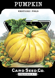 [KentuckyFieldPumpkin02072007.jpg]