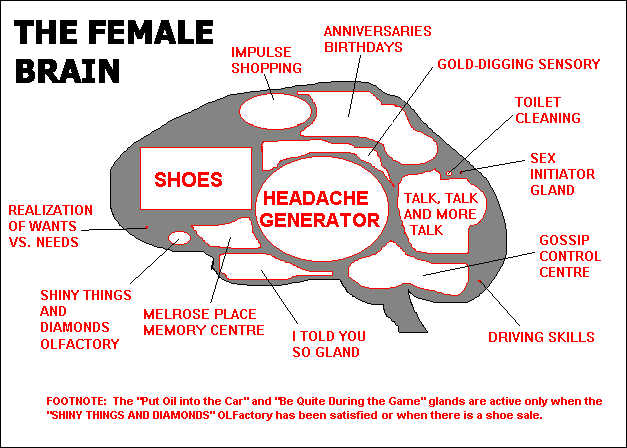[female_brain.gif]