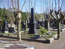 Espacio Flia Moller en Cementerio Aleman