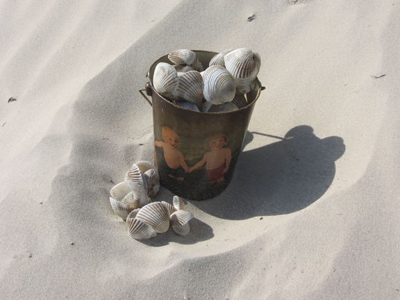 [pail+of+shells.jpg]