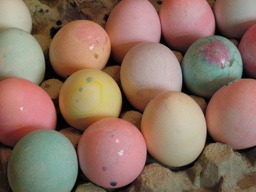 [eggs5.JPG]