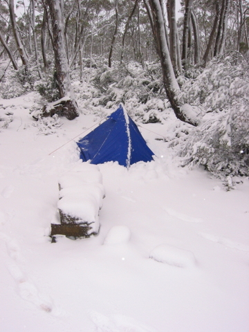 [tent_in_snow.JPG]