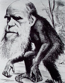 Darwin-mono