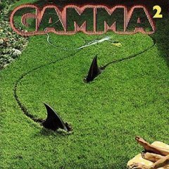 [Gamma2.jpg]