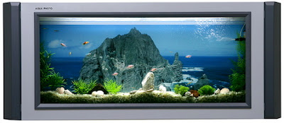 medium_wallmountedfishtank%5B1%5D Aqua Photo: l'acquario da parete