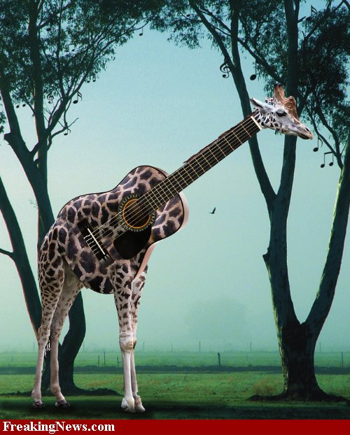 [Giraffe-Guitar--34431.jpg]