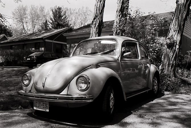 [Black+and+White+Punch+Buggy+no+punchbacks..jpg]