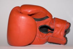 [boxing_glove.jpg]