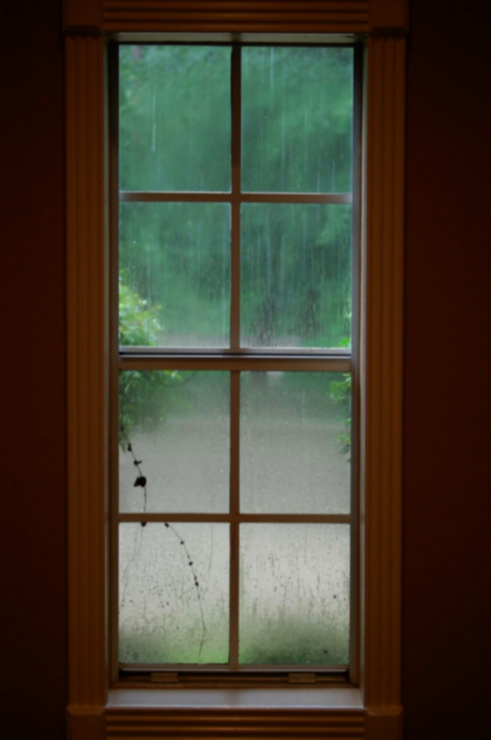 [Rainy+window.jpg]