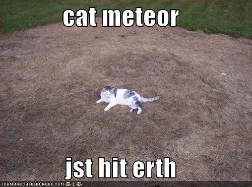 [cat+meteor.jpg]