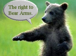 [Bear Arms a Right.jpg]