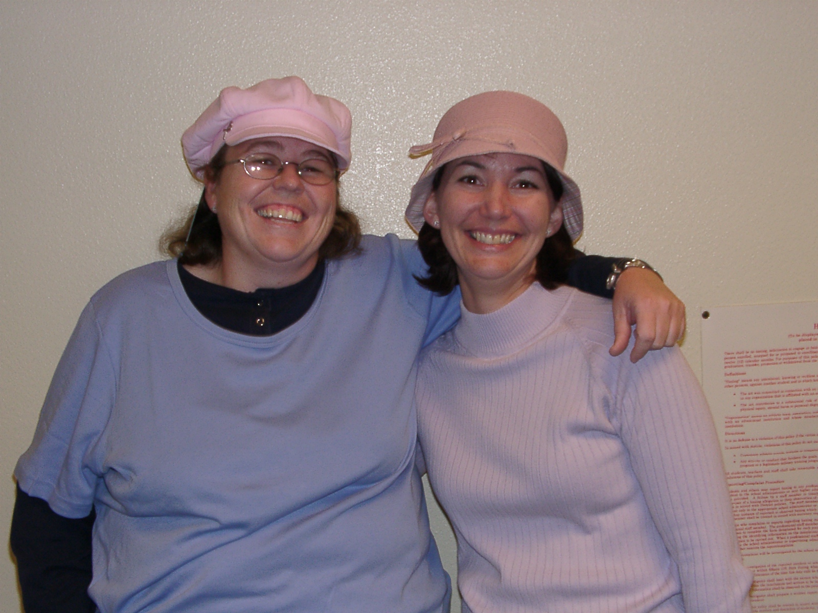 [The+pink+hat+sisters.JPG]