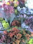 [Alstroemeria+lillies.jpg]