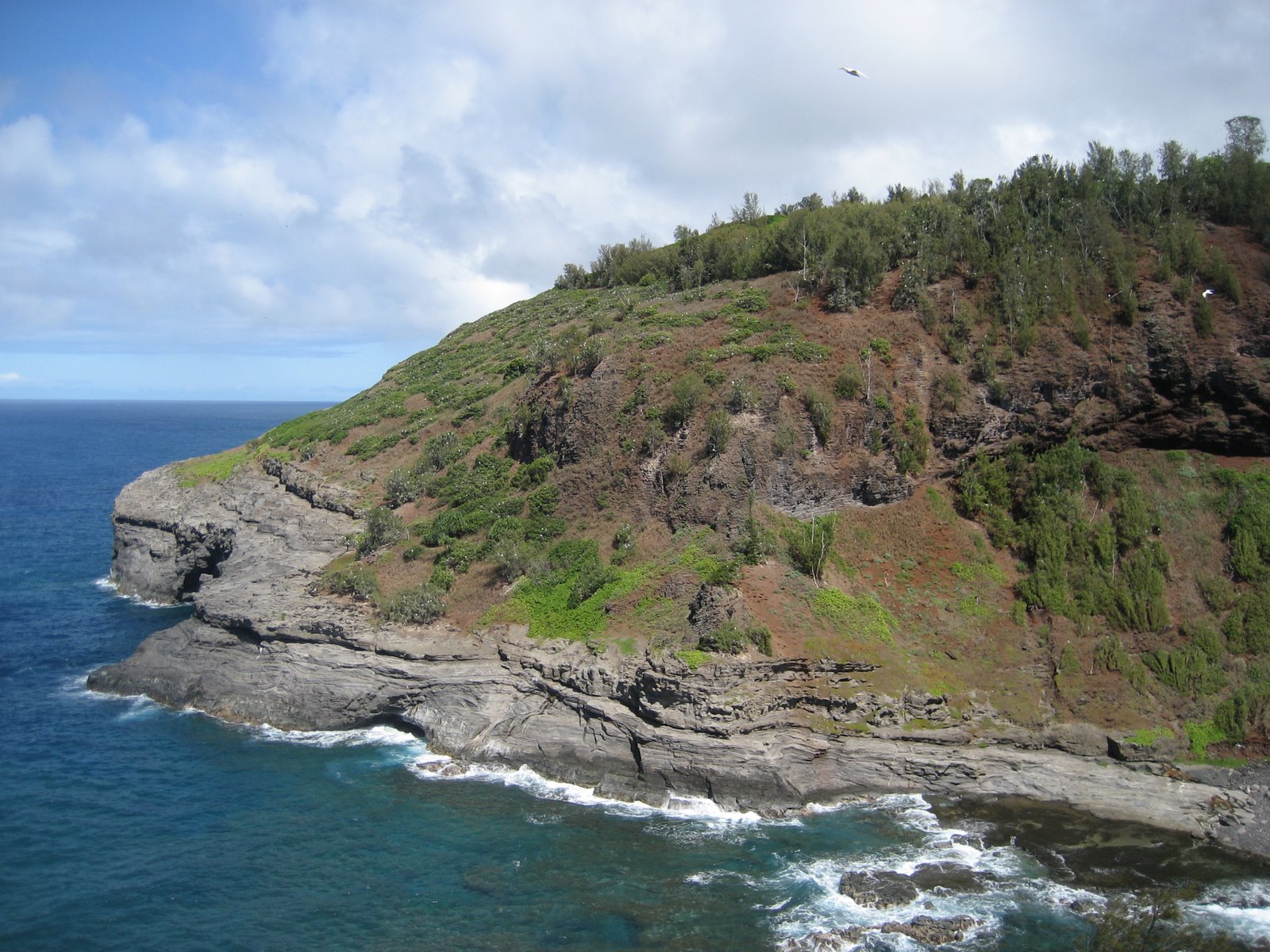 [Kilauea+Lighthouse+003.jpg]