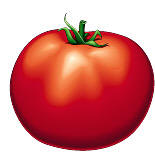 [tomate.jpg]