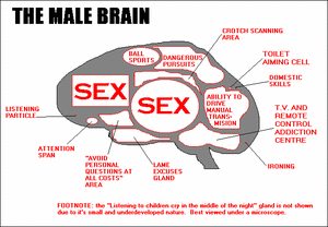 [The+Male+Brain.gif]