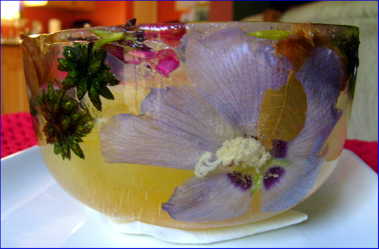[ice+bowl+flowers+1.JPG]