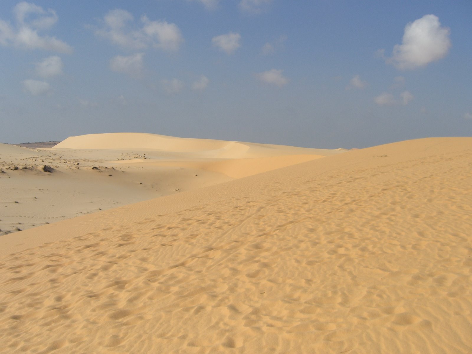 [white+sand+dunes.jpg]