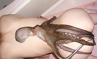 [nude-with-octopus.jpg]