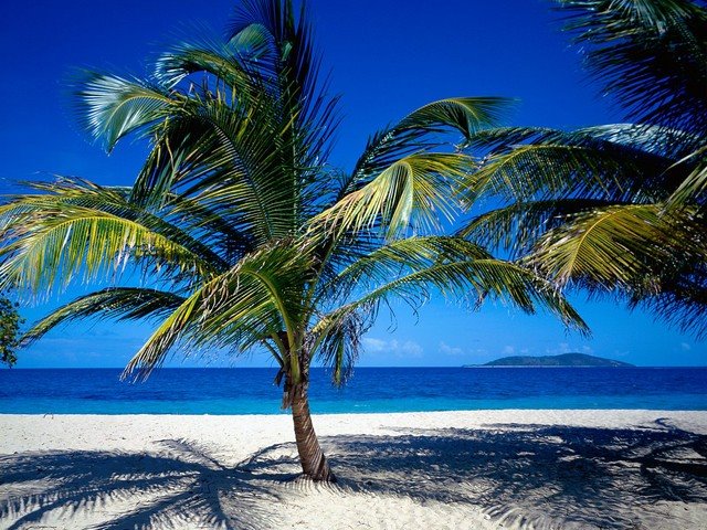 [St__Croix__US_Virgin_Islands.jpg]