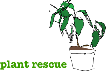 Plant Rescue