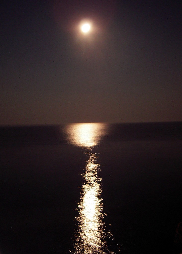 [Night Sea - Full Moon.jpg]