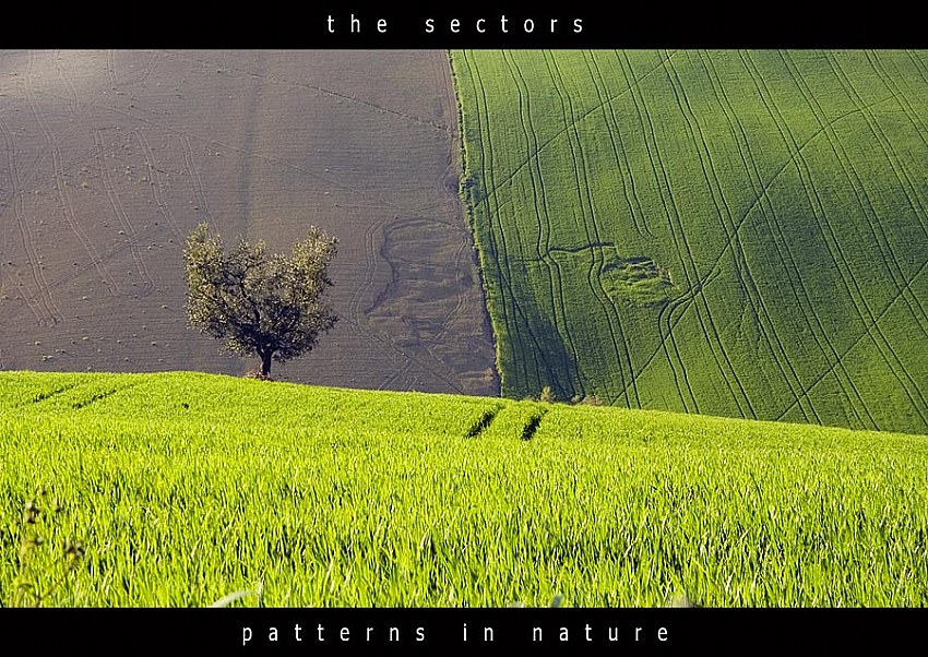 [Massetti+-+the+sectors.jpg]