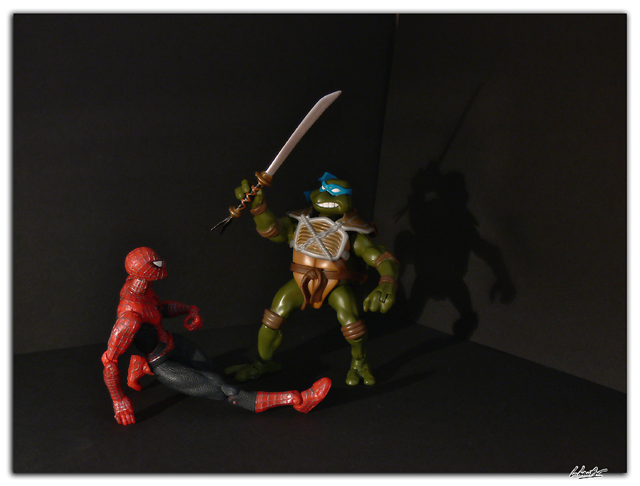 [spiderman+vs+ninja+turtle+02.jpg]