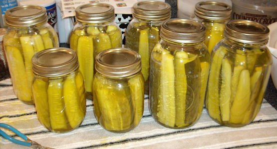 [pickles08.jpg]
